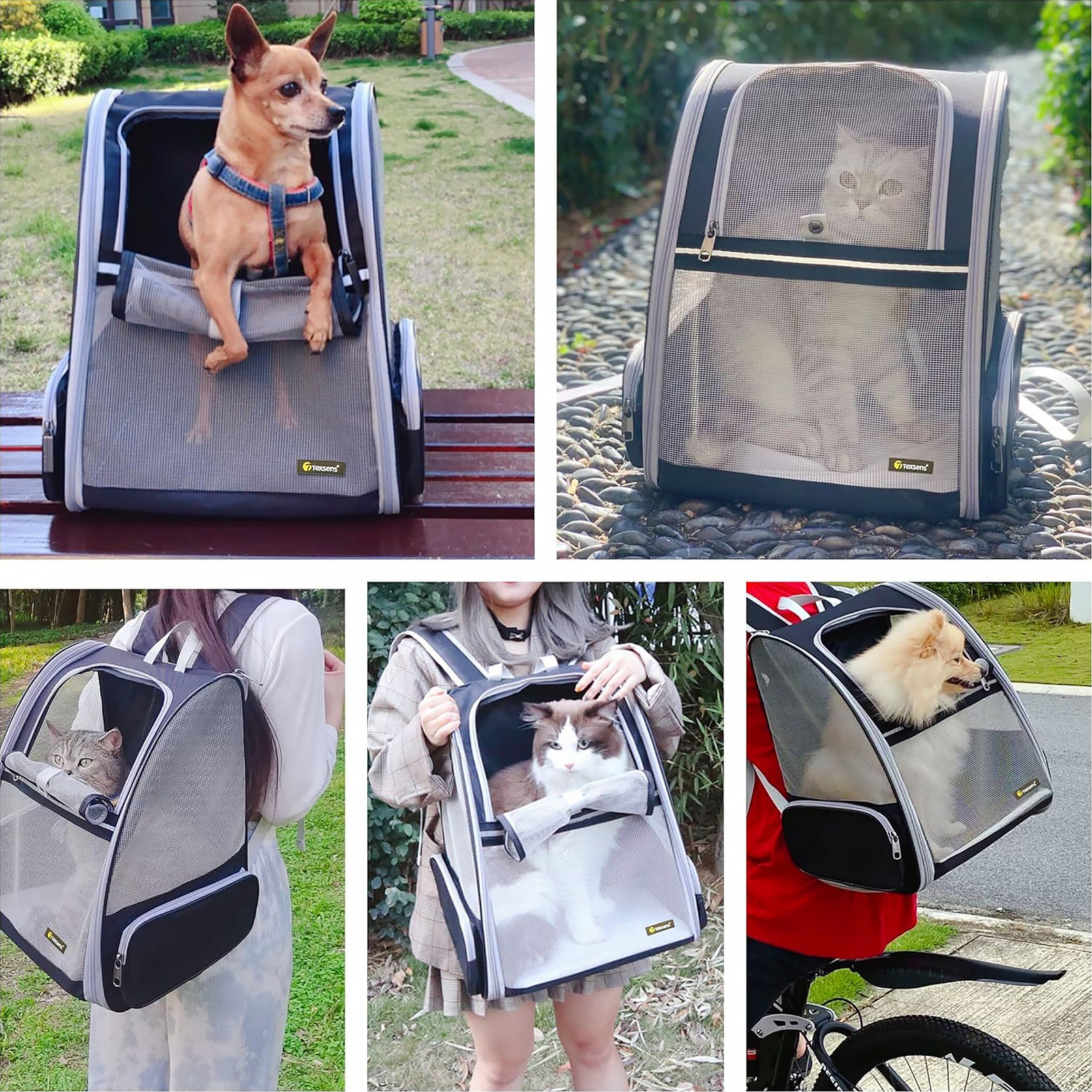 Texsens Innovative Traveler Bubble Backpack Pet Carriers for Cats and Dogs (Black)