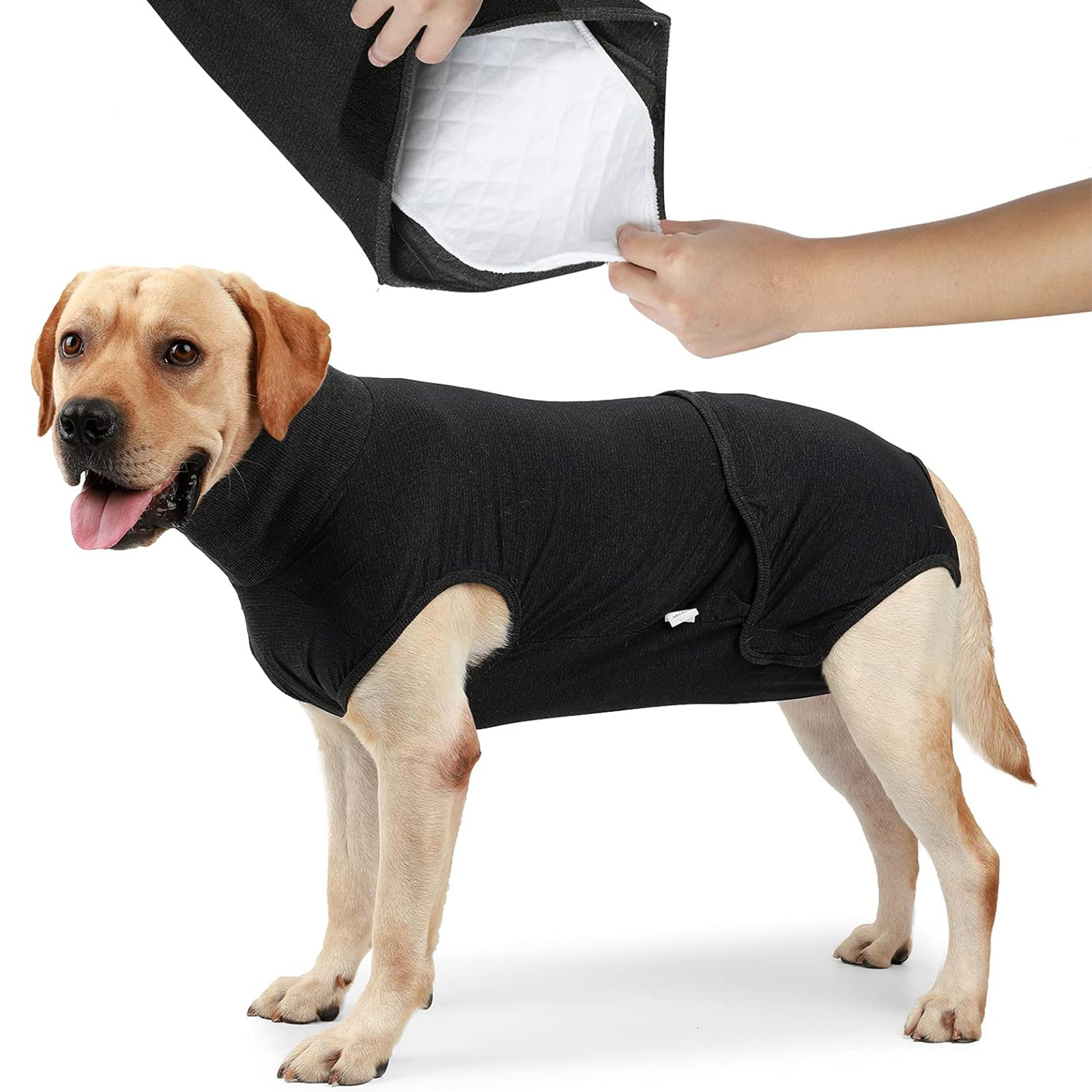 HEYWEAN Medium Dog Diaper (Black): Full Body, Physiological/Surgery Use, Unisex