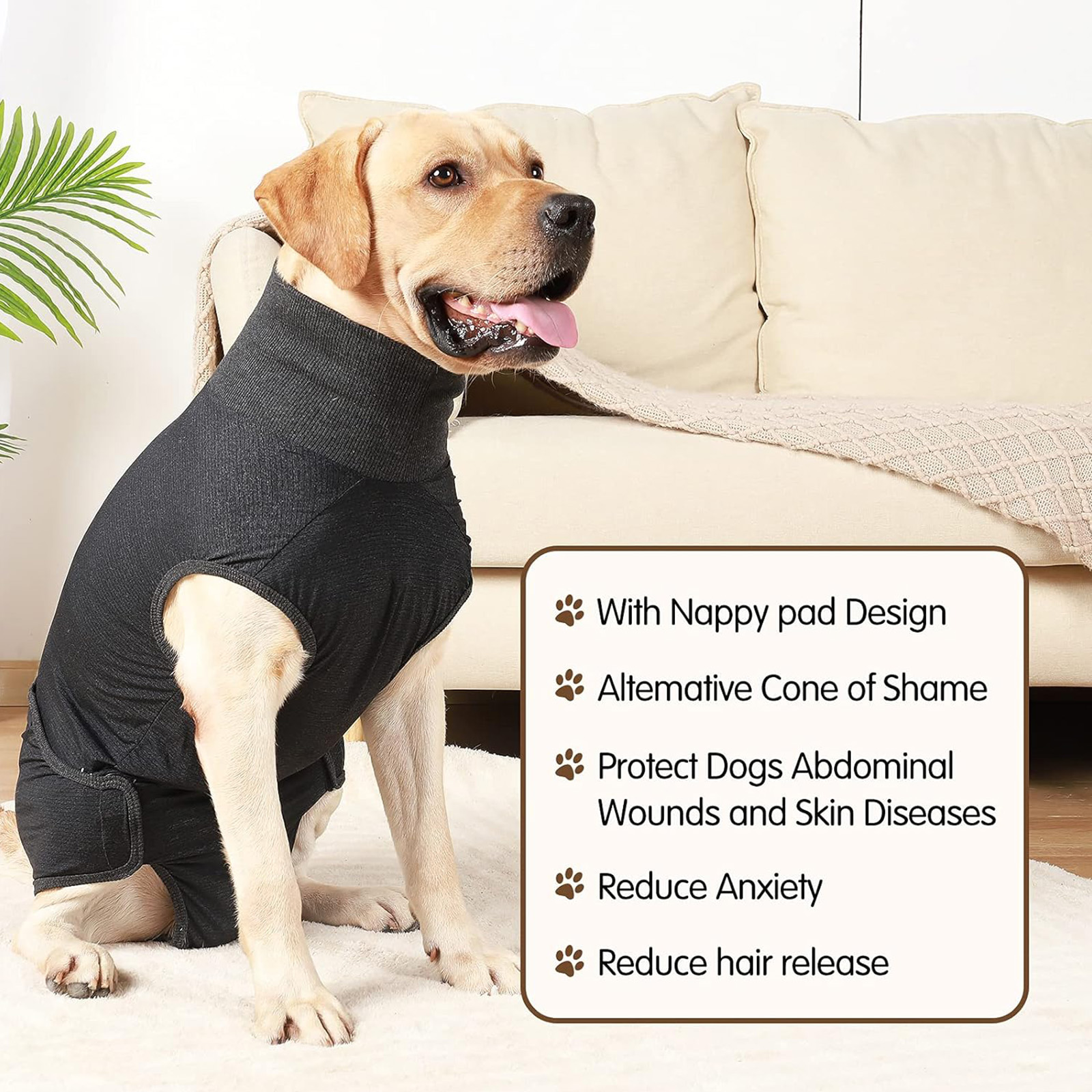 HEYWEAN Medium Dog Diaper (Black): Full Body, Physiological/Surgery Use, Unisex