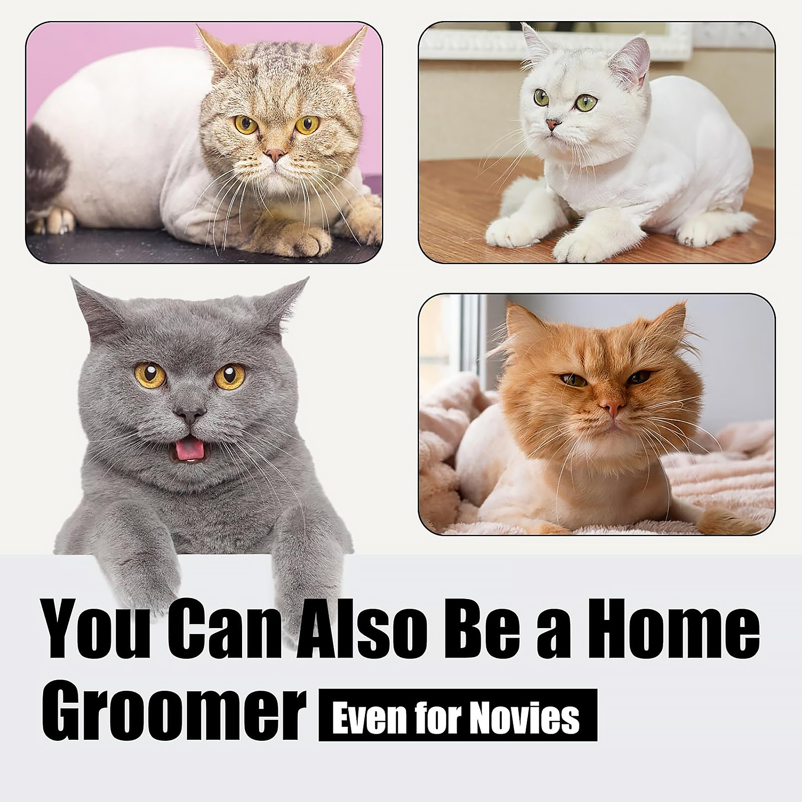 Cat Grooming Kit, Cat Clippers for Matted Hair, Cordless Cat Shaver for Long Hair, Low Noise Paw Trimmer, Cat Hair Trimmer for Grooming,Quiet Pet Hair Clippers Tools for Cats Dogs (Black)
