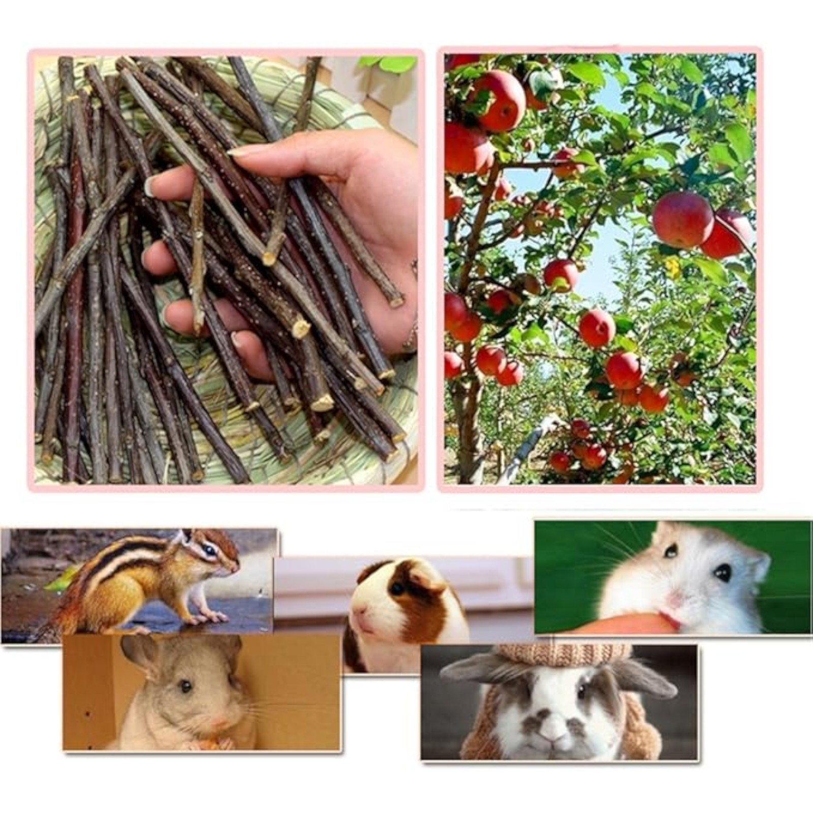 sharllen 100g (3.5oz) Apple Sticks Pet Snacks Chew Toys for Guinea Pigs Chinchilla Squirrel Rabbits Hamster