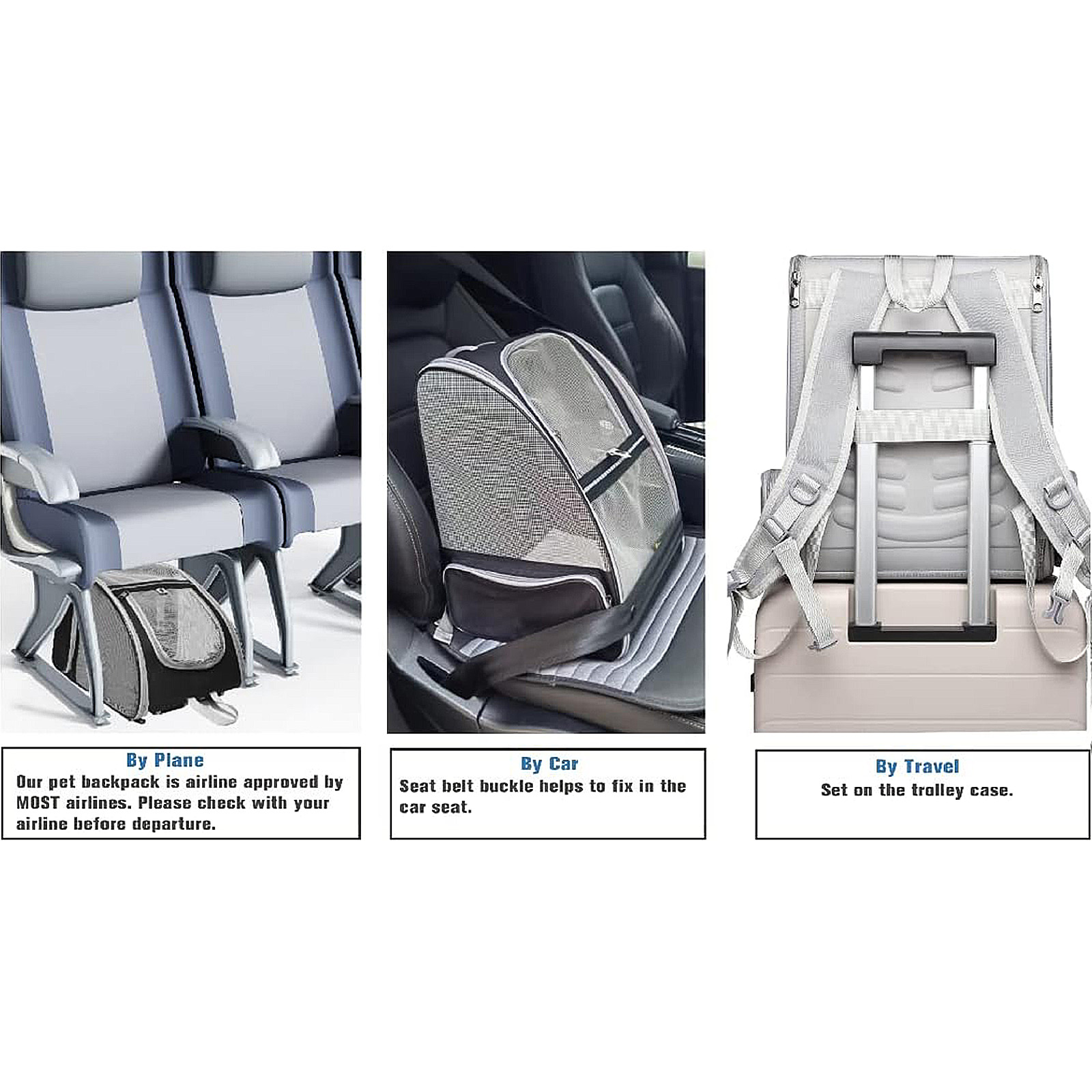 Texsens Innovative Traveler Bubble Backpack Pet Carriers for Cats and Dogs (Black)