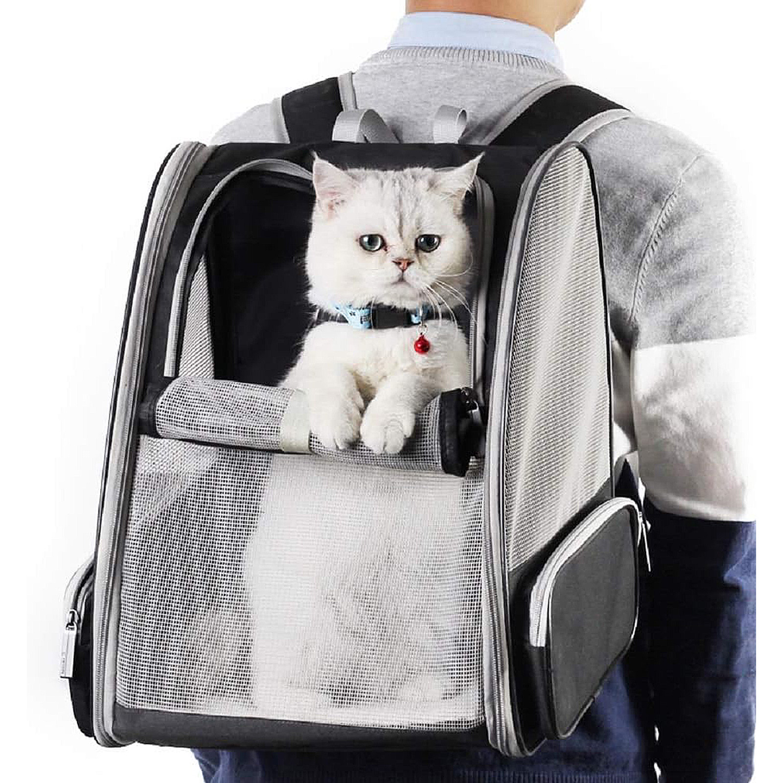 Texsens Innovative Traveler Bubble Backpack Pet Carriers for Cats and Dogs (Black)