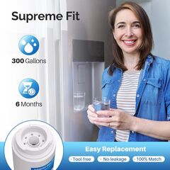 IcePure RWF0900A Refrigerator Water Filters - Choose Pack