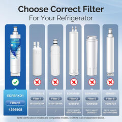 ICEPURE RWF0500A Refrigerator Water Filters - Choose Pack