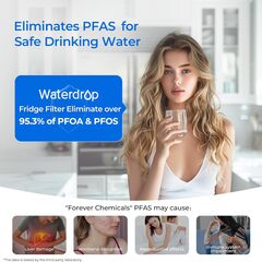 Waterdrop EDR3RXD1 Replacement for Everydrop® Filter 3, 4396841, 4396710, Kenmore® 46-9083, 46-9030, WD-F08 Refrigerator Water Filter