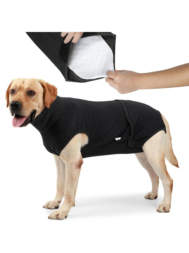 HEYWEAN Medium Dog Diaper (Black): Full Body, Physiological/Surgery Use, Unisex