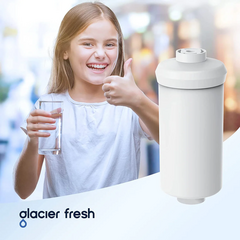Glacier Fresh PF-2 Fluoride Reduction Water Filter GF-S001A-2