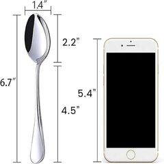 HANSGO Teaspoons Stainless Steel, 8 Piece Dinner Spoons Set 6.7 inches Dessert Spoons Use for Home, Kitchen or Restaurant